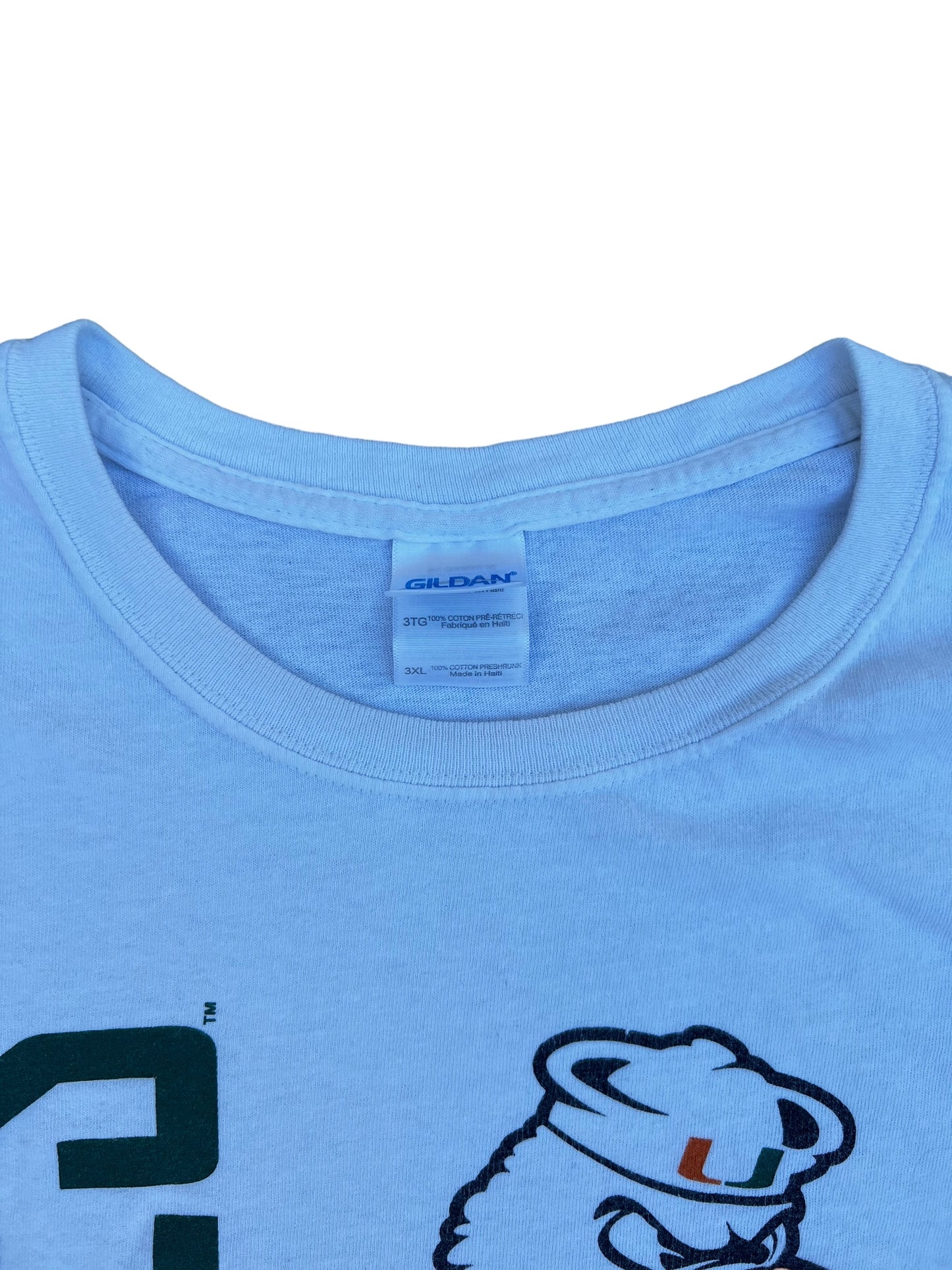 miami hurricanes tee (tagged 3xl, fits like 2x/3x)