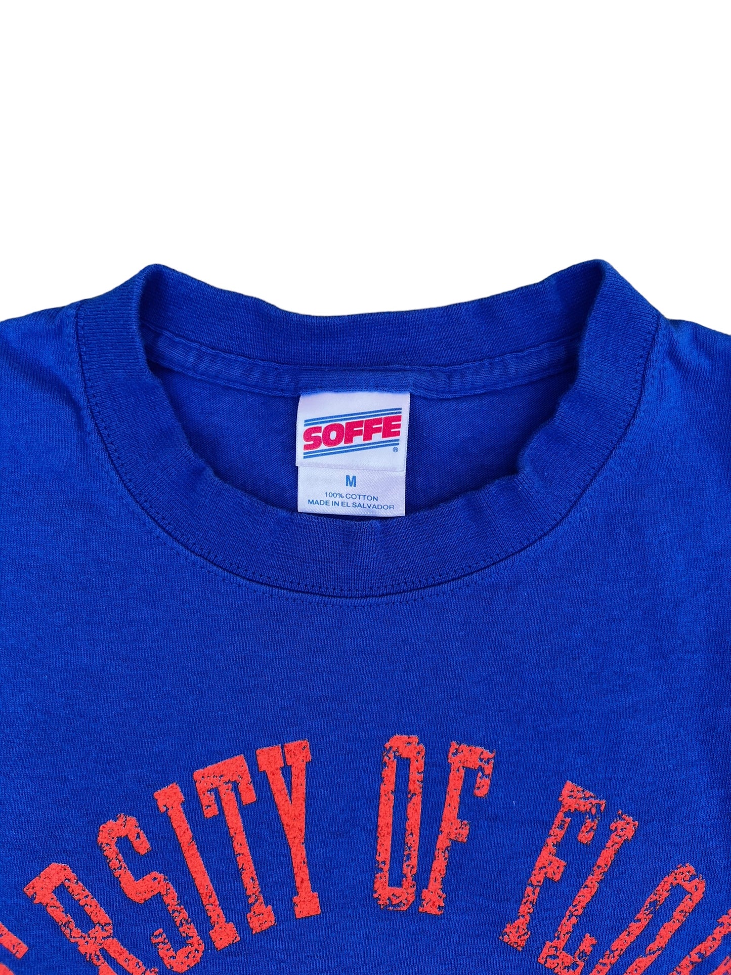 florida gators mickey tee (medium)